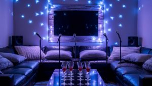 plan fun karaoke party